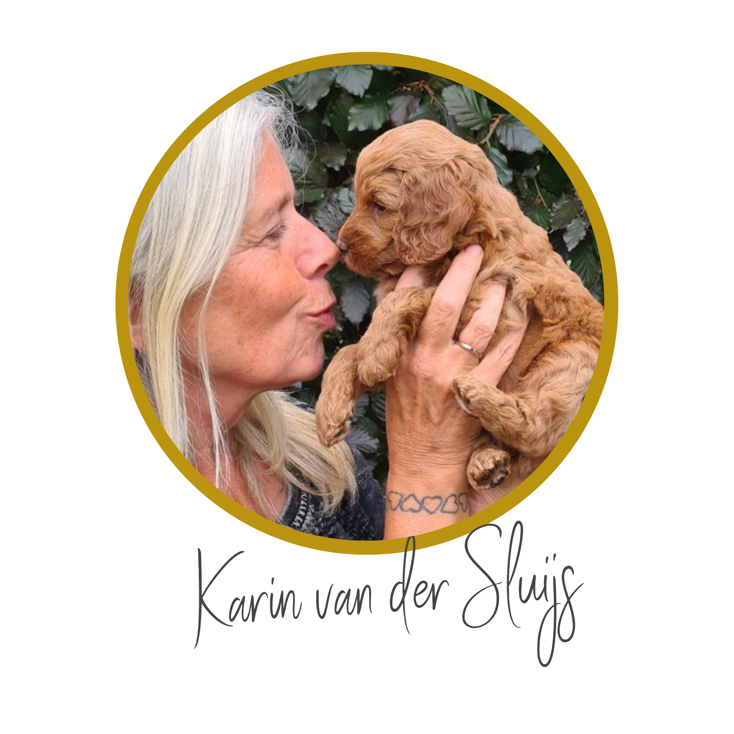 sozo hoofden team koppies-4 (1)